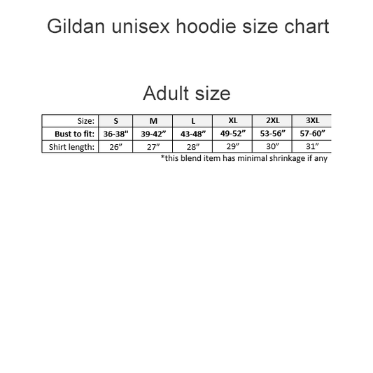 MTCHS vertical banner with dragon printed hoodie